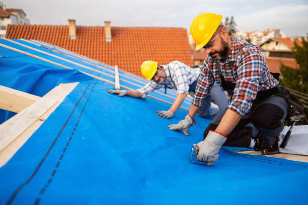 Best Residential Roofing Contractor  in Onsted, MI